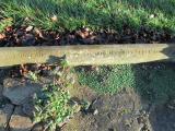image of grave number 365045